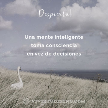 Tipos y Estrategias Diseño Humano